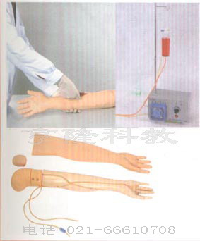 護(hù)理模型|高級手臂靜脈穿刺訓(xùn)練示教模型（電子血液循環(huán)裝置）