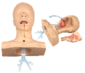 護(hù)理模型|高級吸痰練習(xí)模型