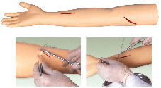 臨床技能模型|高級外科縫合手臂模型
