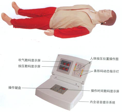 觸電急救模型|高級全自動電腦心肺復蘇模擬人