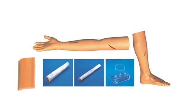 外科綜合技能訓練組合模型